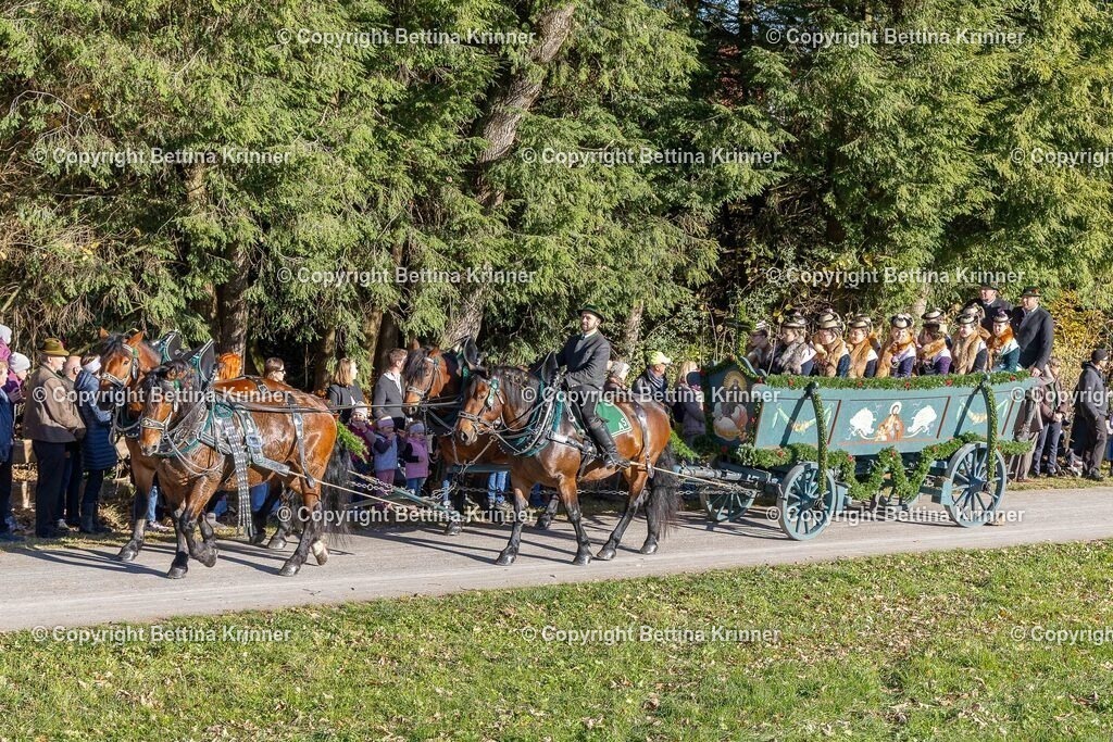 LBT25-273 | foto-bettina-krinner - Realisiert mit Pictrs.com