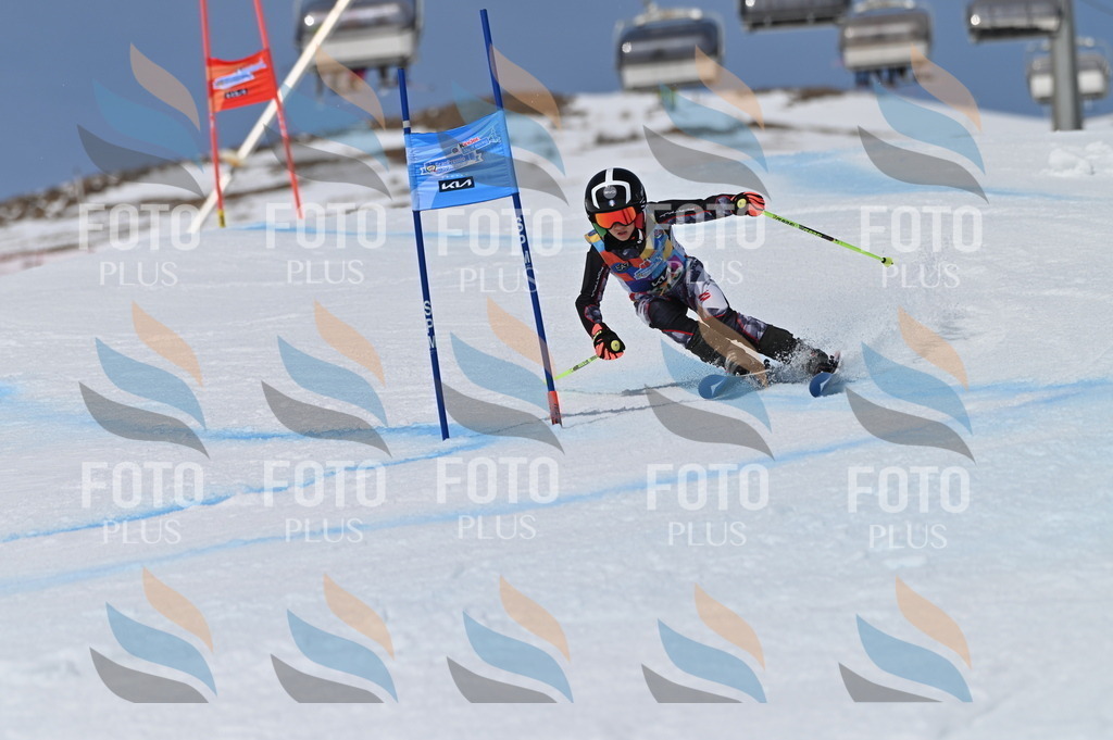 BGV_7370 | holidayphoto