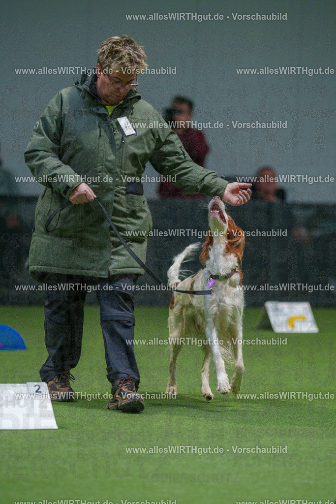 7R500123 | Professionelle Tierfotografie in Mönchengladbach von Daniel Wirth (allesWIRTHgut). Liebevolle & natürliche Bilder von Hunden & Katzen für unvergessliche Erinnerungen.