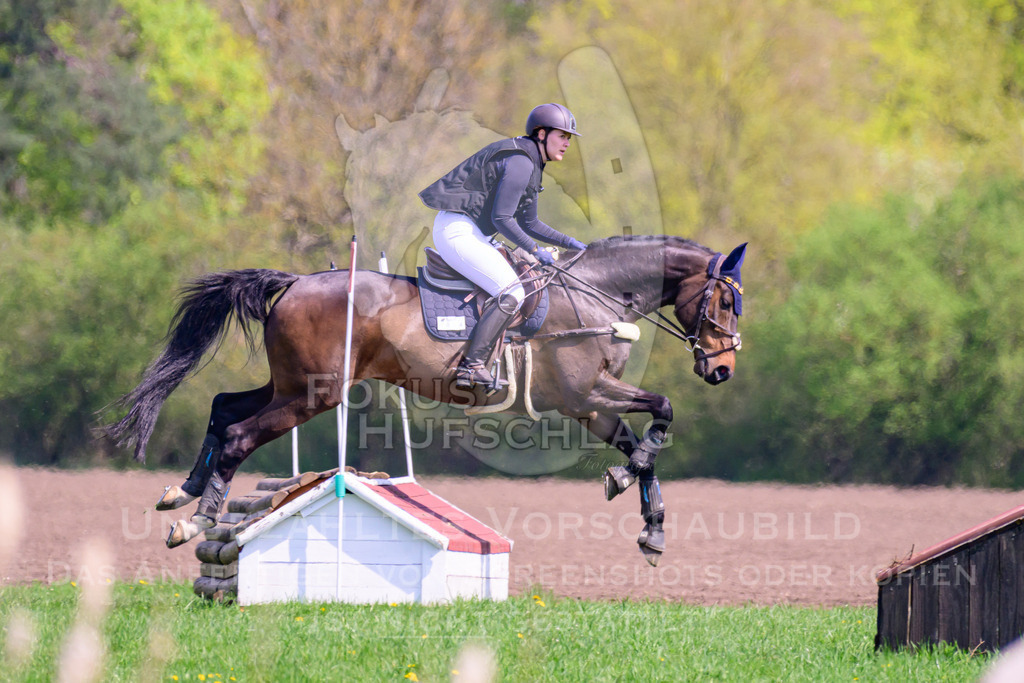 18042026-Gernlinden-01-1-0211 | Fokus Hufschlag Fotografie - Realisiert mit Pictrs.com