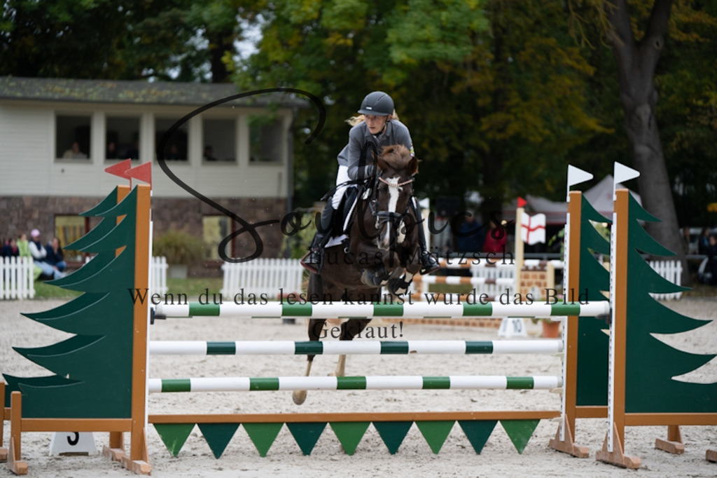 A7V00014 | Pferdefotograf