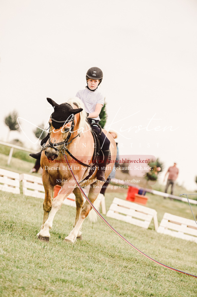 DSC_5256 | Pferde- und Turnierfotografie in Westsachsen. Pferdeportraits, Auftragszeichnungen und intuitive Kunst.