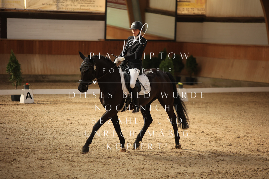 IMGT1656 | pl-fotografie