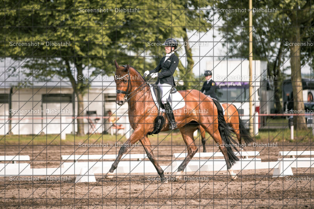 _W6A4683 | ronjaprokoschfotografie - Realisiert mit Pictrs.com