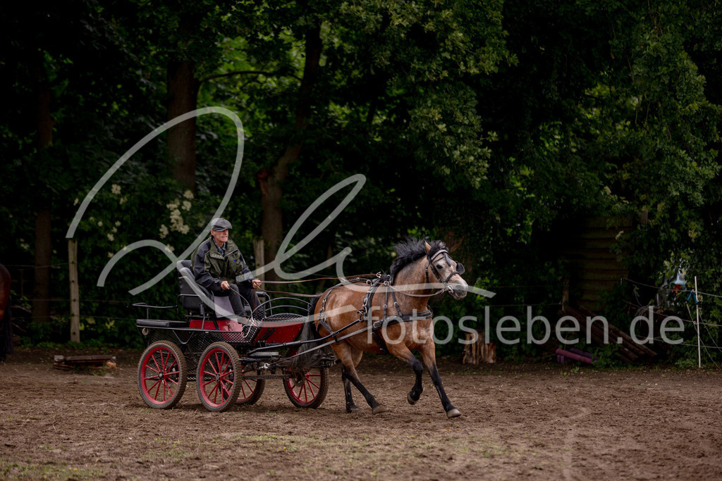 846A0751 | fotosleben - Realisiert mit Pictrs.com