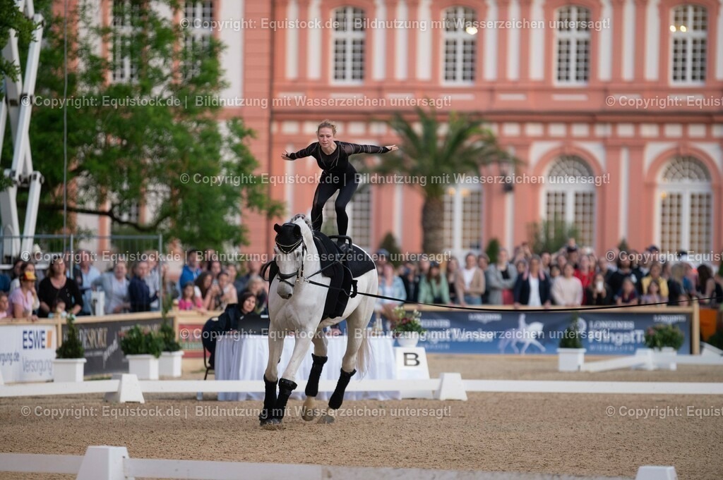 20230527_Voltigieren_NASPA_Flutlicht_0097 | equistock