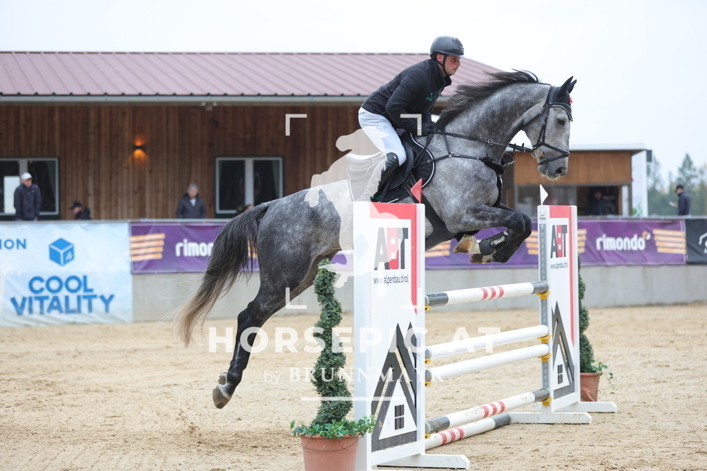 0P6A6565 | Willkommen bei Brunnmayr - Design & Fotografie – Ihrem Spezialisten für Reitturniere und Pferdeveranstaltungen in Oberösterreich, Salzburg und Bayern! Seit über 17 Jahren sind wir leidenschaftlich dabei.