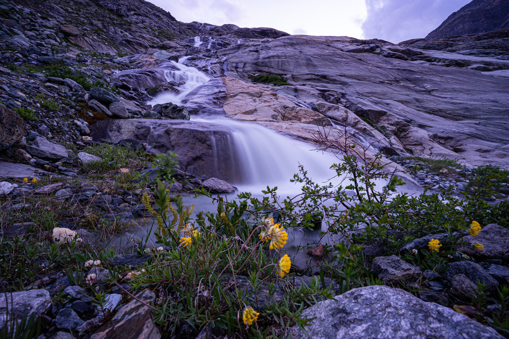 _DSC2346 | <meta name="keywords" content="Bergbilder, Hochzeitsfotografie, Actionshootings, Fotografiearbeiten, Berglandschaften, Naturfotografie">

 - Realisiert mit Pictrs.com