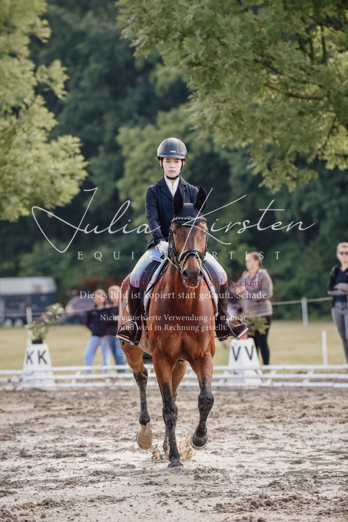 DSC_7965 | Pferde- und Turnierfotografie in Westsachsen. Pferdeportraits, Auftragszeichnungen und intuitive Kunst.