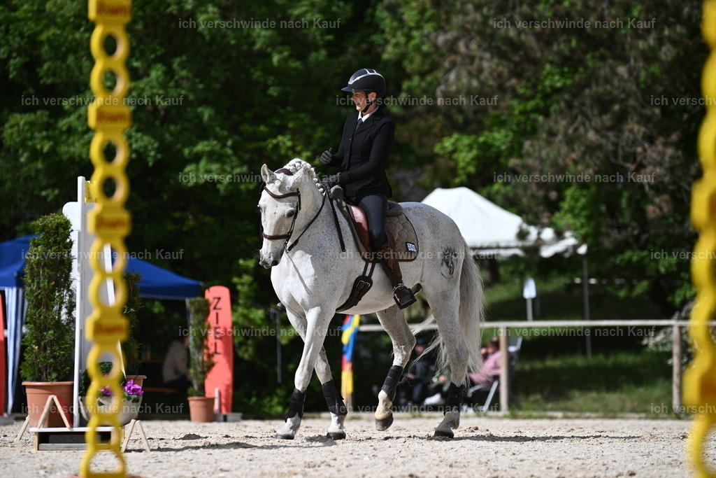 PI26_ST_Sara_Landvogt226_2347.JPG | working equitationturnier fotograf videograf stoibphotography marixx film working equitation deutschland reitsport turnierfotografie eventfotografie equestrian events