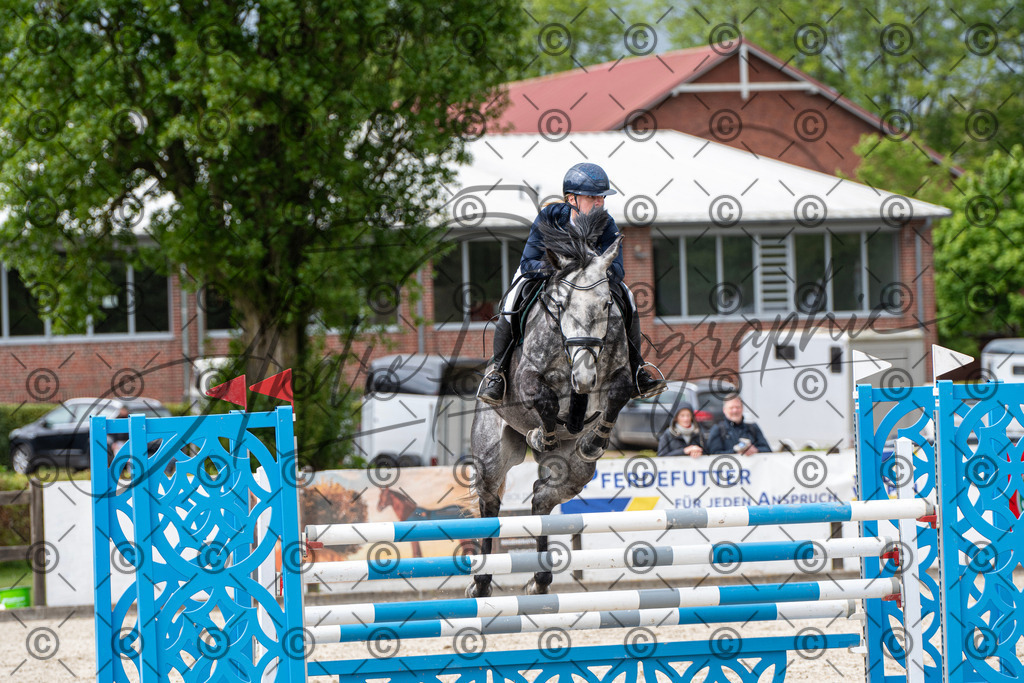 KPT_9843 | andre_photographic