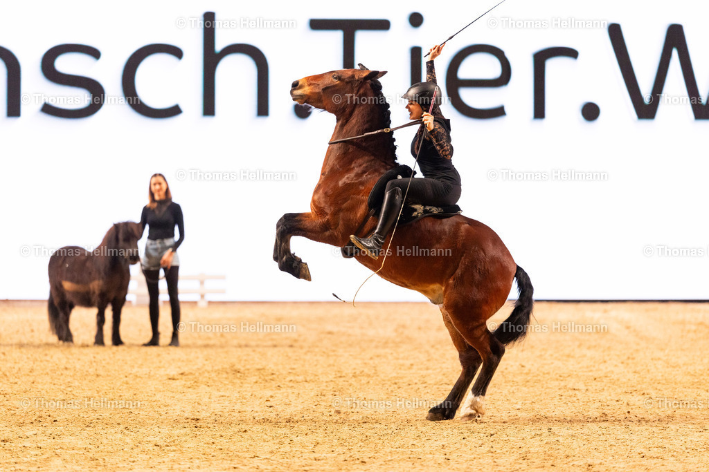 TH_Show Cup_26841 | EQUITANA 2025 am 08.03.25 in Essen