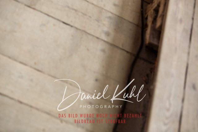 IMG_1829 | Turniersportfotografie; Pferdefotografie; Dressurfotografie