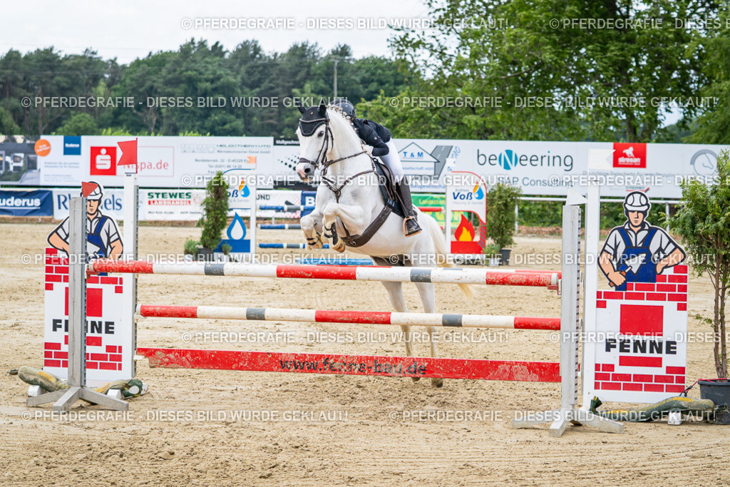 DSC05553 | Pferdegrafie