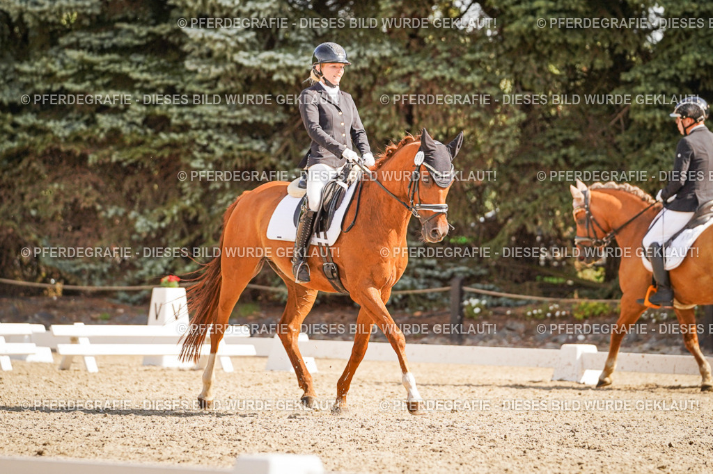 DSC00809 | Pferdegrafie