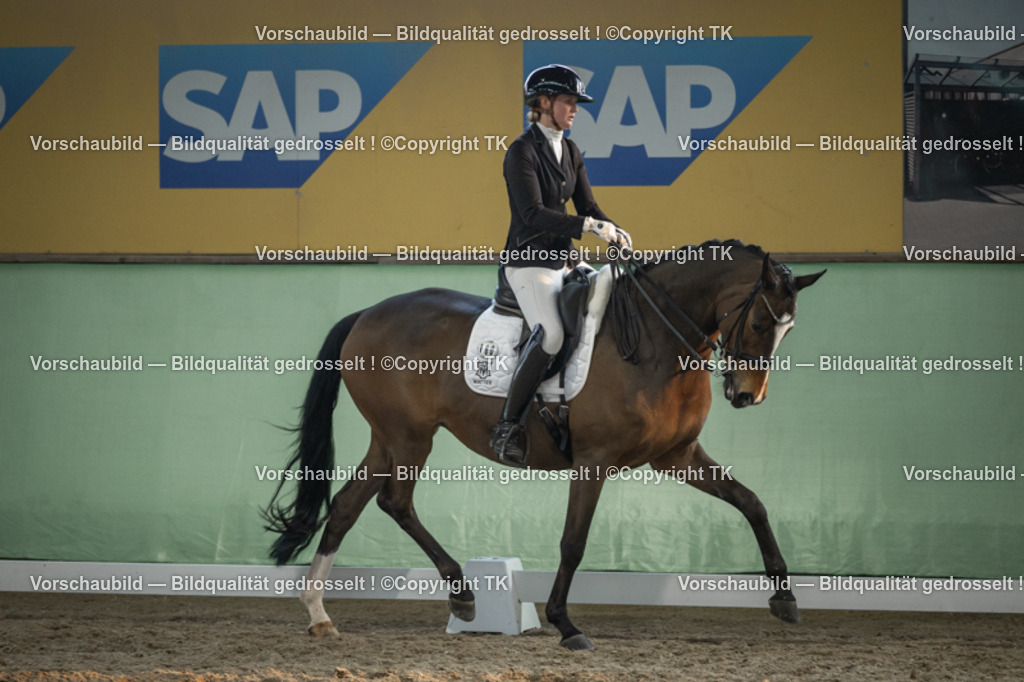 _D5A3420 | Emotionale Pferde- & People-Fotografie rund um Heidelberg, Leimen & Umgebung. Natürliche Fotos von Pferd, Mensch & Familie. Jetzt Termin sichern!