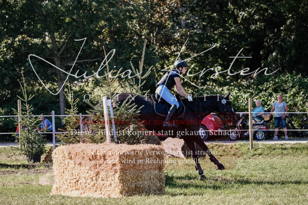 DSC_3554 | Pferde- und Turnierfotografie in Westsachsen. Pferdeportraits, Auftragszeichnungen und intuitive Kunst.