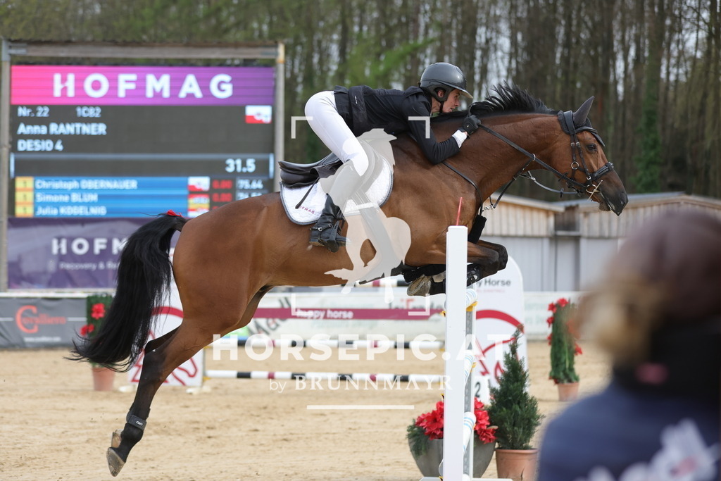 0P6A7506 | Willkommen bei Brunnmayr - Design & Fotografie – Ihrem Spezialisten für Reitturniere und Pferdeveranstaltungen in Oberösterreich, Salzburg und Bayern! Seit über 17 Jahren sind wir leidenschaftlich dabei.
