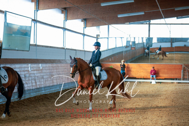 _62_6152 | Turniersportfotografie; Pferdefotografie; Dressurfotografie