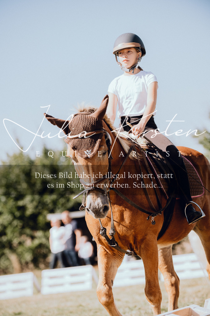 DSC_7270 | Pferde- und Turnierfotografie in Westsachsen. Pferdeportraits, Auftragszeichnungen und intuitive Kunst.