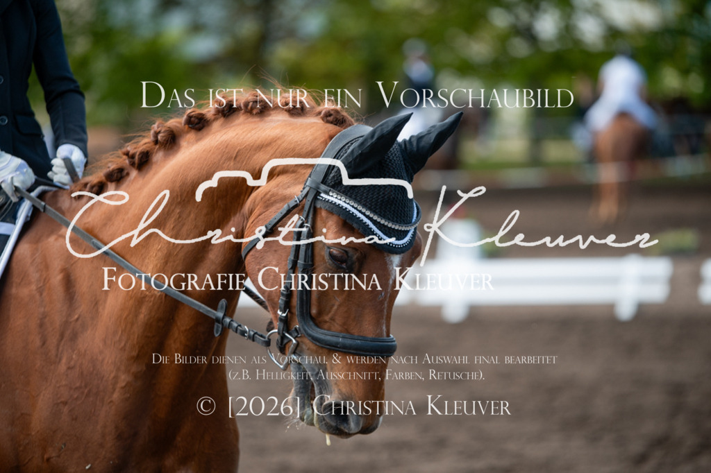 DSC_3503 | Christina-Kleuver