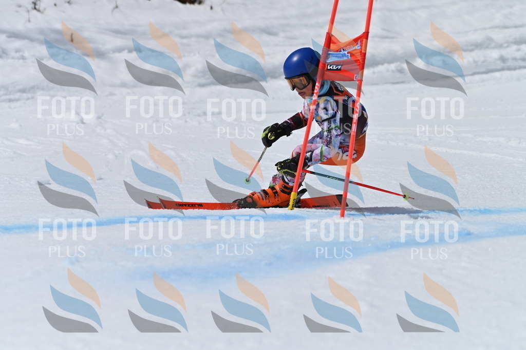 BGV_7306 | holidayphoto