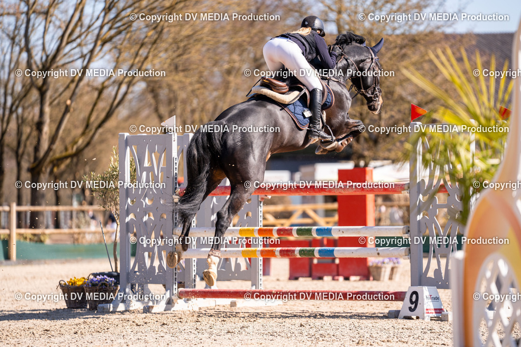 Kranichstein Tag 2-791 | dv-media-shop - Realisiert mit Pictrs.com