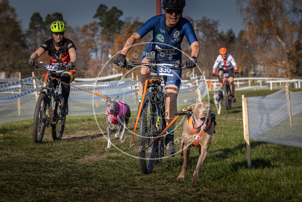 CaniXpix_0L8A8058 | Hundefotografie, Tierfotograf, Pfotenfotografie, Fotoshooting Hund, Hunde Portrait, Hundesport, Hundeportraits, Heideshooting, Hunde, Sportfotograf, Hundefotograf, Turnierhundsport, THS,  - Realisiert mit Pictrs.com