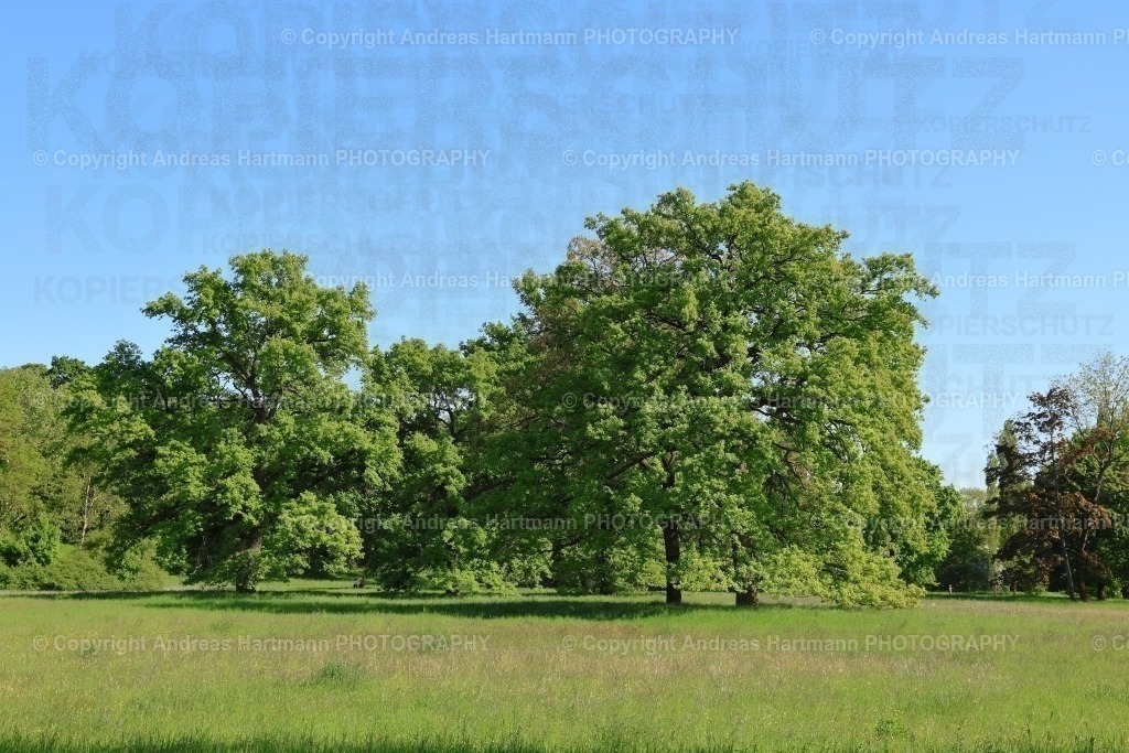 Park an der Ilm Weimar | Park an der Ilm Weimar - Realisiert mit Pictrs.com