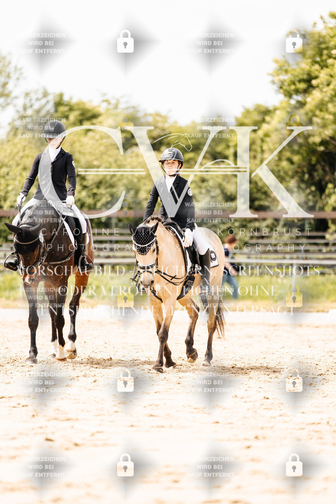 CK902622 | Turnierfotografie Pferdefotografie Trier Rheinland-Pfalz Pferdesport Reitsport Tierfotografie Sportfotografie Pferdevideo Pferdevideografie Equestrianvideography equestrianphotography  - Realisiert mit Pictrs.com
