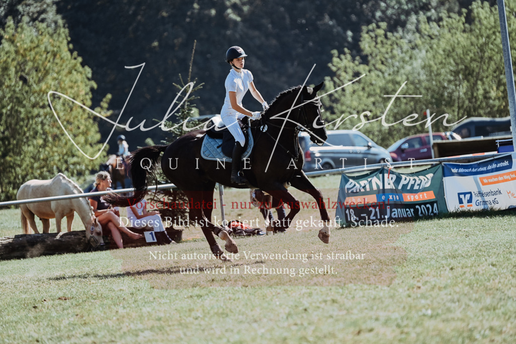 DSC_6675 | Pferde- und Turnierfotografie in Westsachsen. Pferdeportraits, Auftragszeichnungen und intuitive Kunst.