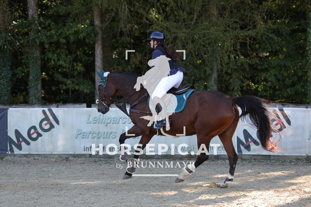 0P6A0799 | Willkommen bei Brunnmayr - Design & Fotografie – Ihrem Spezialisten für Reitturniere und Pferdeveranstaltungen in Oberösterreich, Salzburg und Bayern! Seit über 17 Jahren sind wir leidenschaftlich dabei.