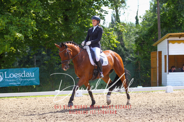 DKP42650 | Turniersportfotografie; Pferdefotografie; Dressurfotografie