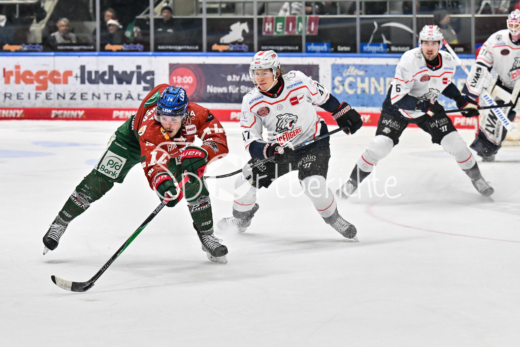 Augsburger Panther - Nürnberg Ice Tigers | AUGSBURG, GERMANY - 23. DECEMBER: im Duell D. J. BUSDEKER (Augsburger Panther 14) und Owen HEADRICK (Nürnberg Ice Tigers 47) während dem Match zwischen den Augsburger Panthern und den Nürnberg Ice Tigers am 31. Spieltag der Penny DEL im Curt Frenzel Stadion
