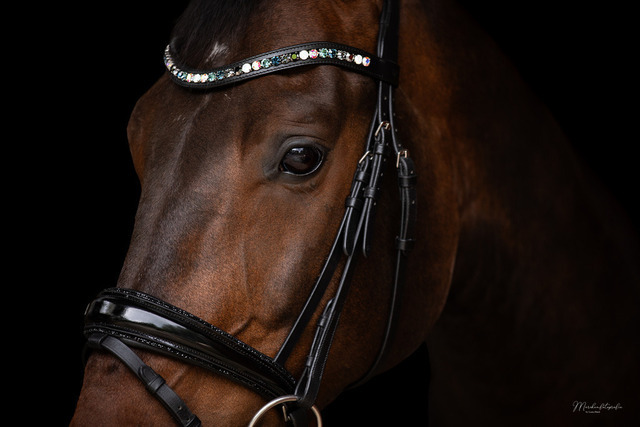 BBB48801-3732-45C7-A944-231B9CB7DEB0 | laurarinckfotografie - Realisiert mit Pictrs.com