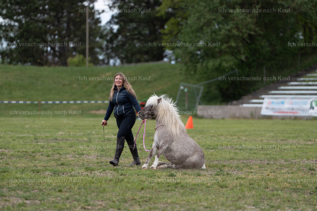 PI26_show_Jan_Picutures7C_06286.jpg | working equitationturnier fotograf videograf stoibphotography marixx film working equitation deutschland reitsport turnierfotografie eventfotografie equestrian events