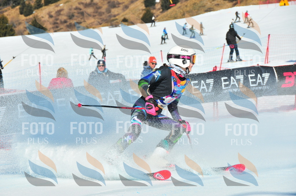 DSC_3779 | holidayphoto