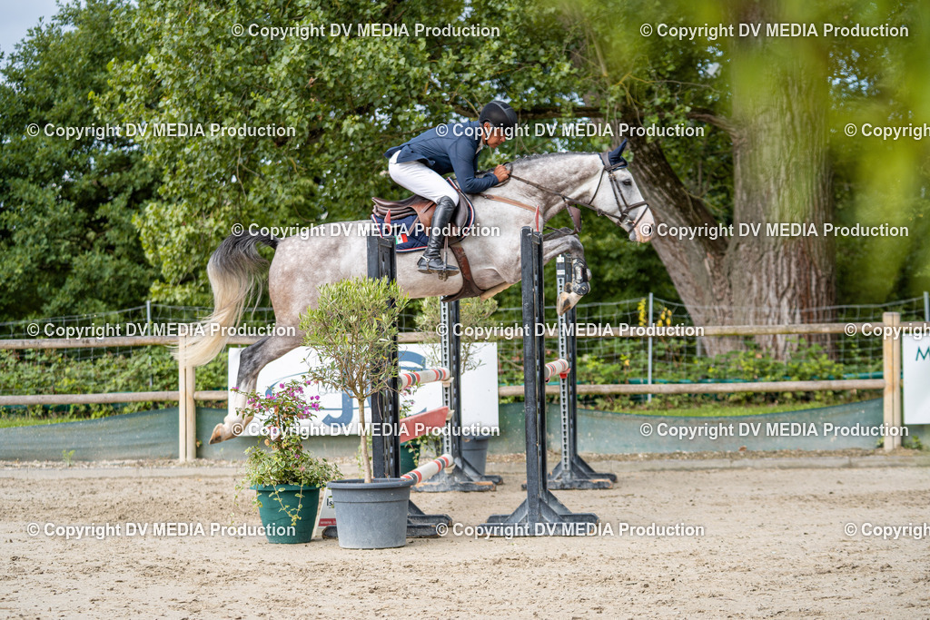 Hessische Tag 1-030 | dv-media-shop - Realisiert mit Pictrs.com