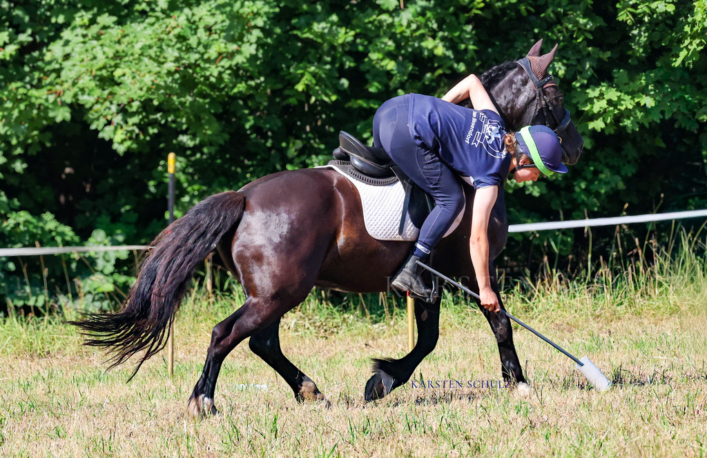 1B3A7976 | Reitsport Reiten