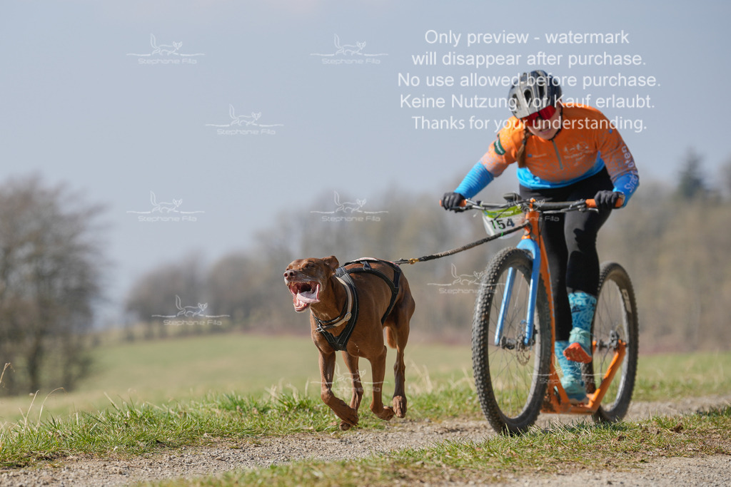 Scooter_Lang-90 | stephaniefillaphotographie - Realisiert mit Pictrs.com