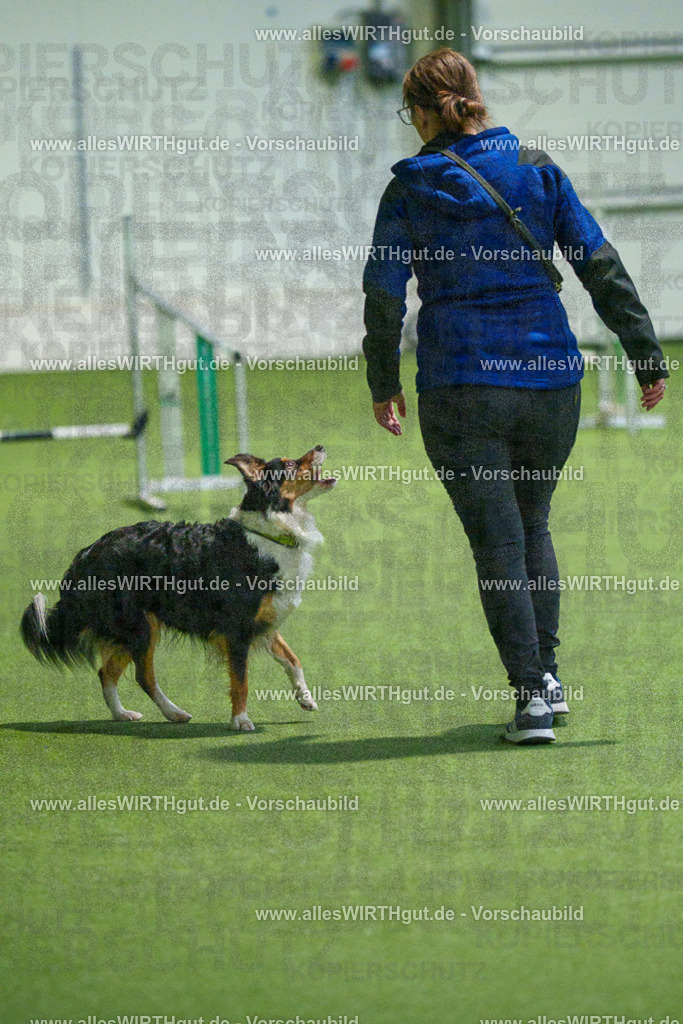 7R508205 | Professionelle Tierfotografie in Mönchengladbach von Daniel Wirth (allesWIRTHgut). Liebevolle & natürliche Bilder von Hunden & Katzen für unvergessliche Erinnerungen.