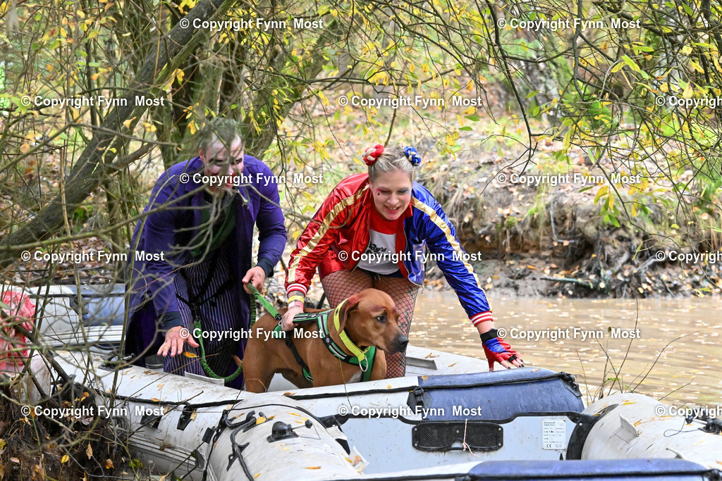 DSC_5906 | Hallo und herzlich Willkommen auf meiner Shop-Seite Fynn Most.

Ich wünsche Dir viel Spaß beim stöbern durch die Bilder, wenn Du Fragen hast oder Bilder vermisst, kannst du mir gerne eine Nachricht schreiben. - Realisiert mit Pictrs.com