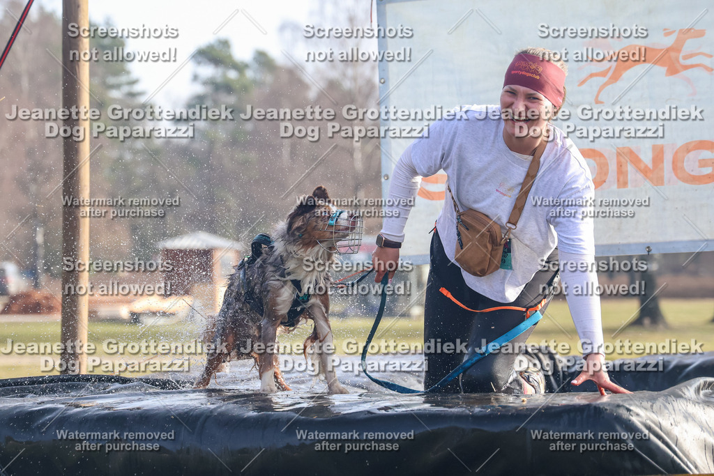 Dog Paparazzi - Strongdog North Mrz26-339 | Dog Paparazzi Jeanette Grottendiek Fotografie & Videografie - Realisiert mit Pictrs.com