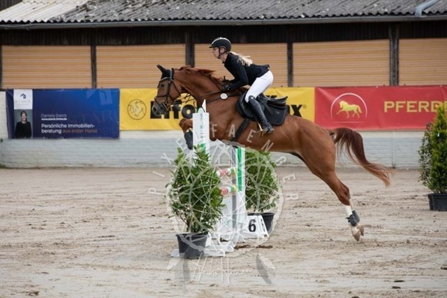 2B4A1462 | pixelfaenger - Realisiert mit Pictrs.com