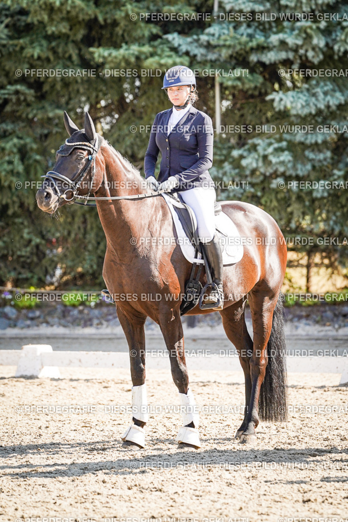 DSC00095 | Pferdegrafie