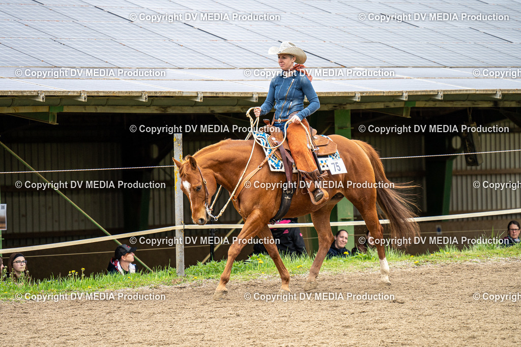 BAL00691 | dv-media-shop - Realisiert mit Pictrs.com