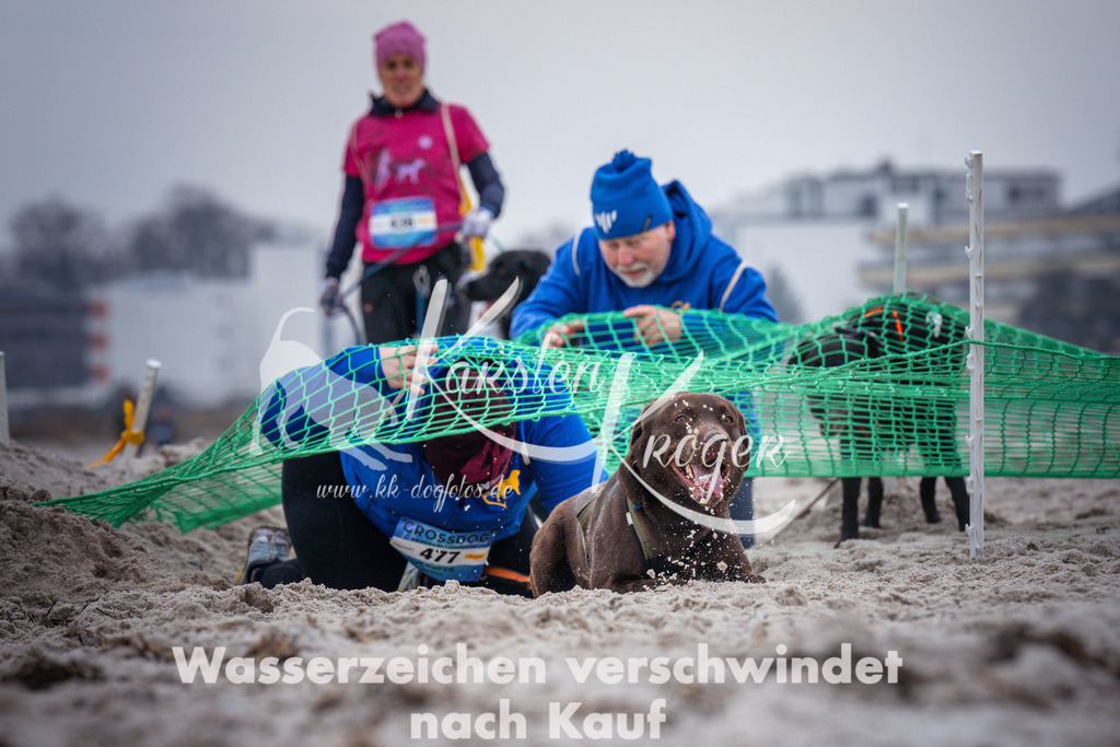 1216_ZZ93112 | kk-dogfotos