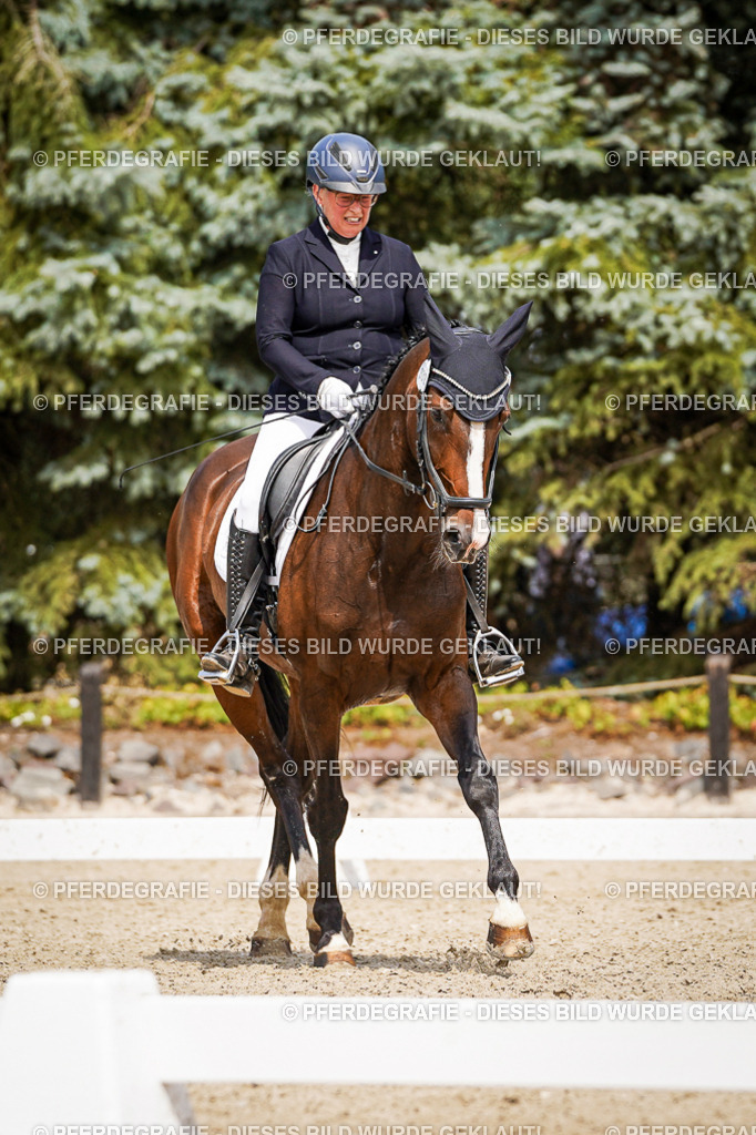 DSC03774 | Pferdegrafie