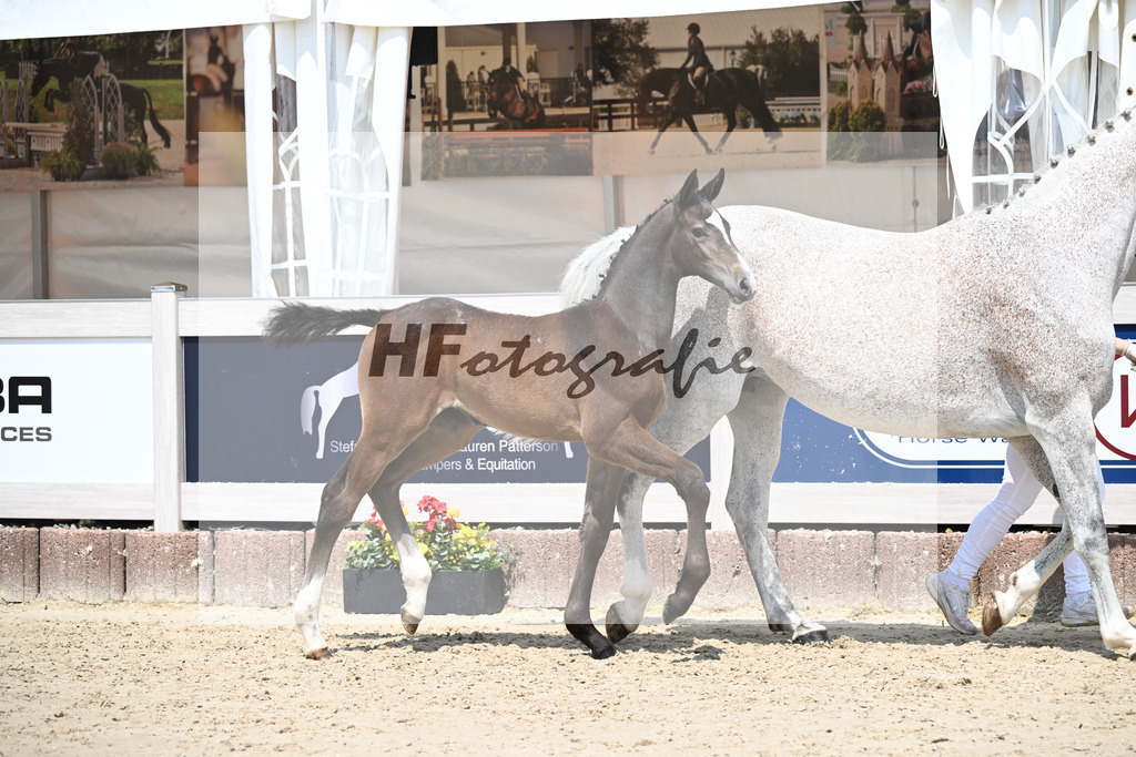 Cornets Balou x Casall_Gross_12250705 | hf-fotografie - Realisiert mit Pictrs.com
