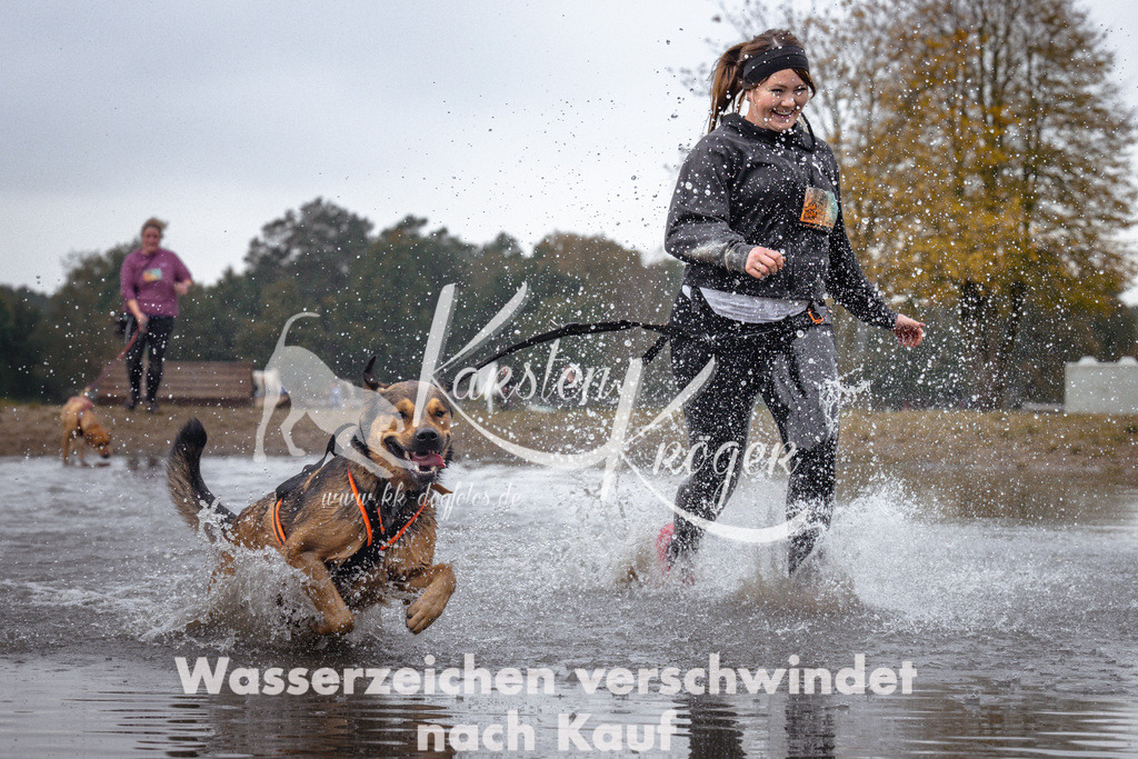 1153_ZZ96964 | kk-dogfotos